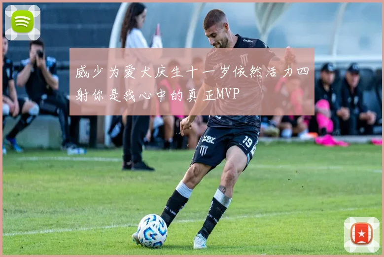 威少为爱犬庆生十一岁依然活力四射你是我心中的真正MVP