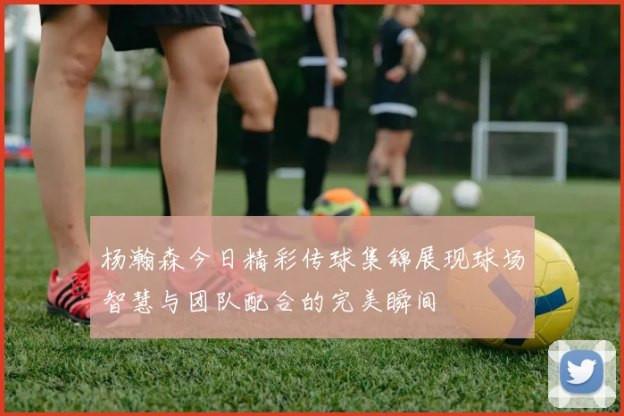 杨瀚森今日精彩传球集锦展现球场智慧与团队配合的完美瞬间