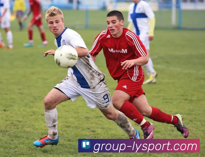 乐鱼体育发展历程